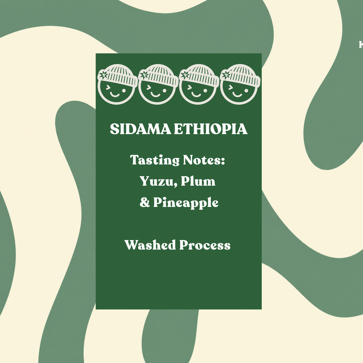Ethiopia Sidama