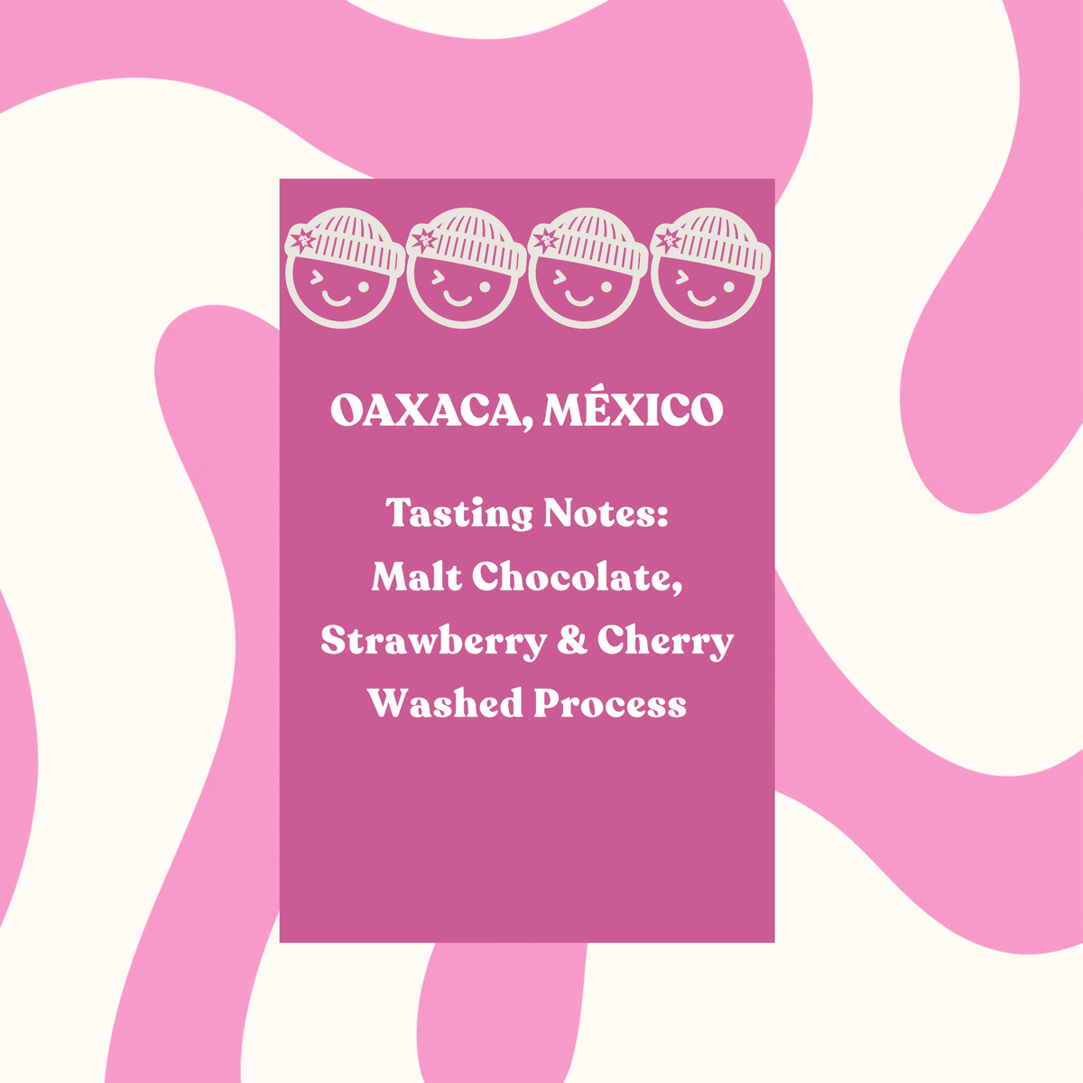 Oaxaca, Mexico Sierra Mixteca 250g Bag