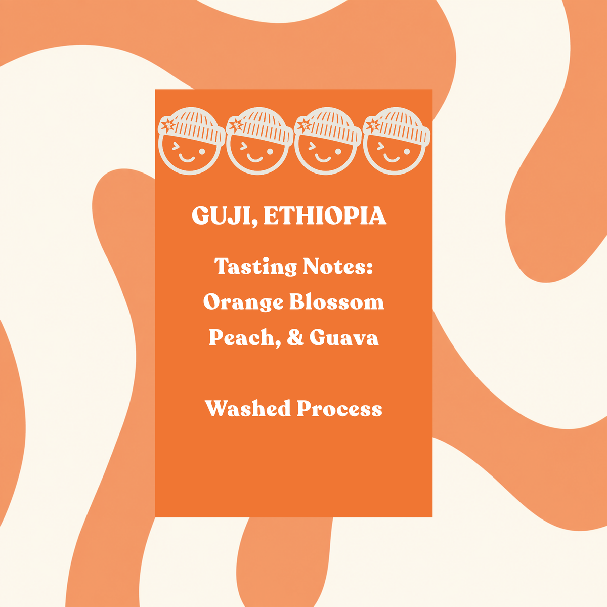 Ethiopia Guji Biru Bekele
