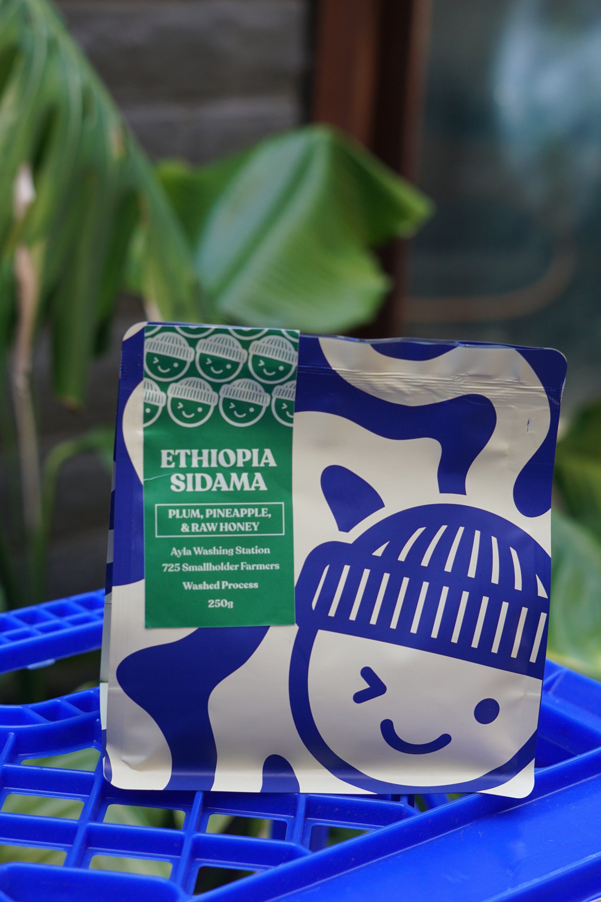 Ethiopia Sidamo 250g