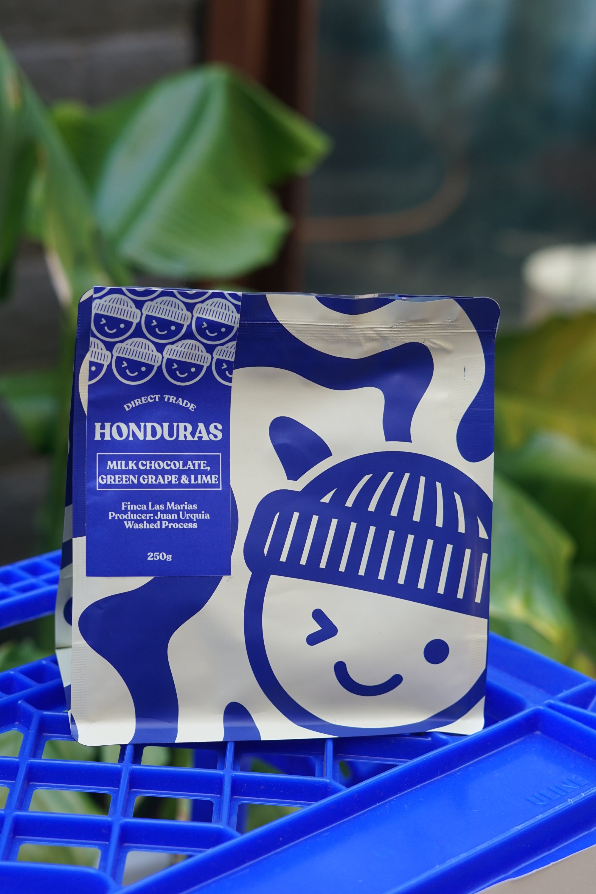 Honduras Washed Process Finca Las Marias 250g