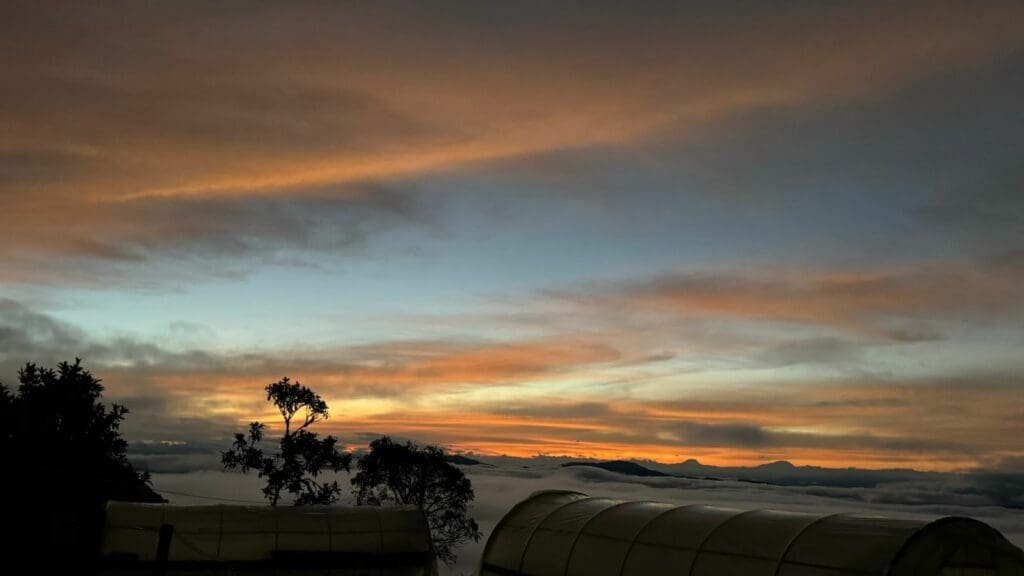 Huila, Colombia 250g