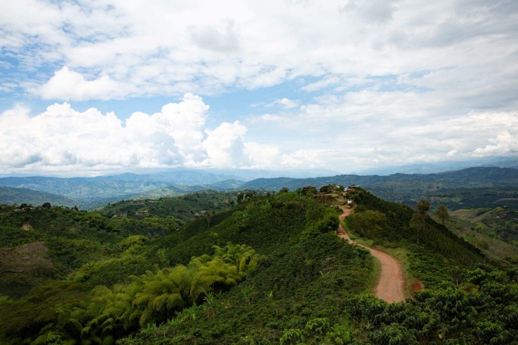 Huila, Colombia 250g