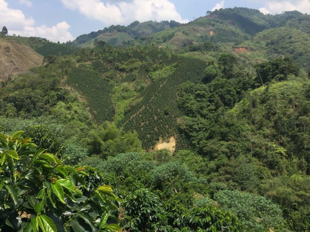 Huila, Colombia 250g