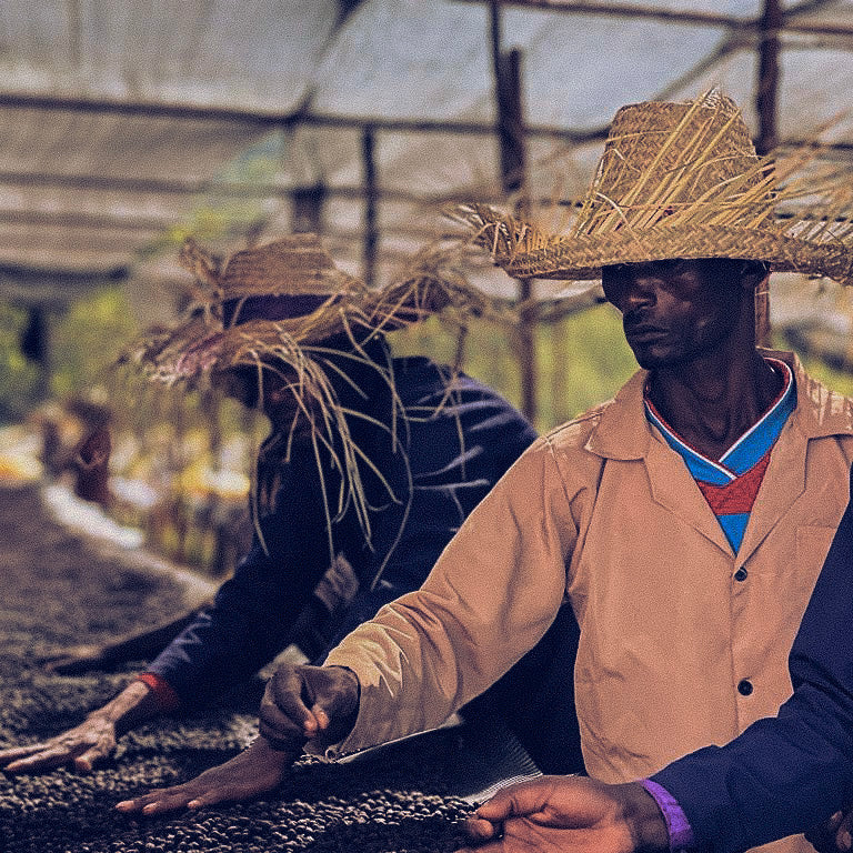 Ethiopia Natural Process Yirgacheffe Aricha Adorsi  250g