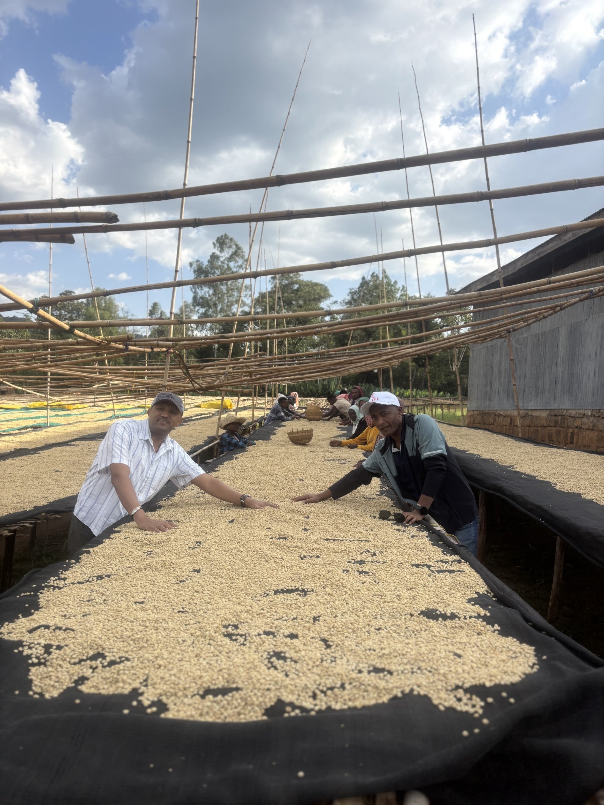 Ethiopia Guji Biru Bekele 250g