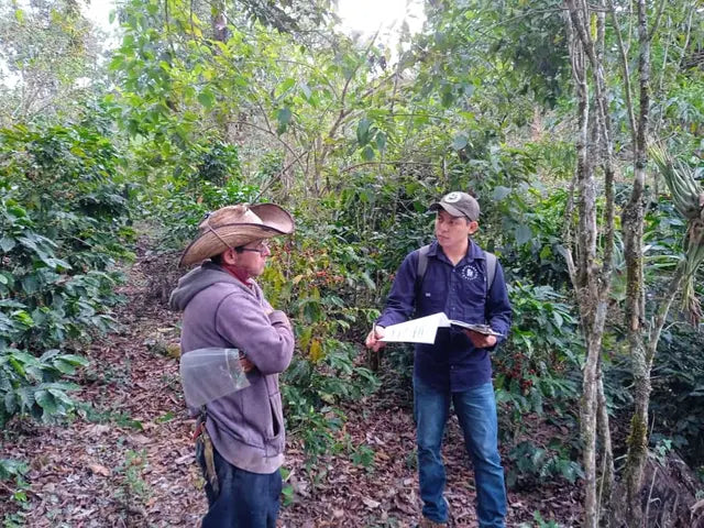 Oaxaca, Mexico Sierra Mixteca 250g Bag